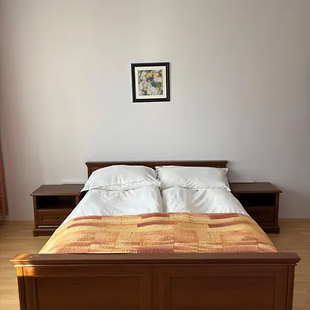 ホテル Apart Hotel Central Razgrad Razgrad